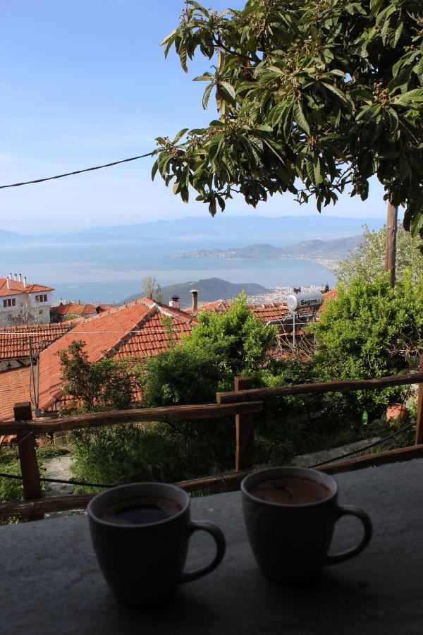 Centaurs View Portaria (Magnesia) Exterior photo